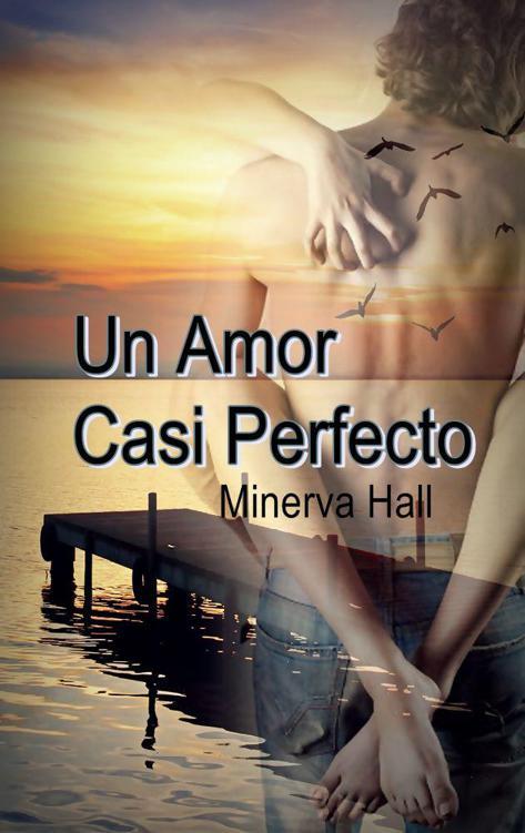Portada de Nuevas oportunidades 02 - Un amor casi perfecto